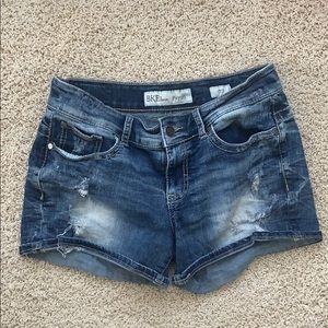 BKE Payton Shorts
